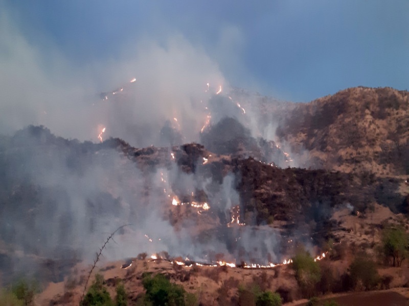Around 300 acres forest land destroyed in fire at Jezuri area | जेजुरी परिसरातील पिंगोरी येथे भीषण आगीत सुमारे ३०० एकरांवरील वनसंपदा नष्ट 