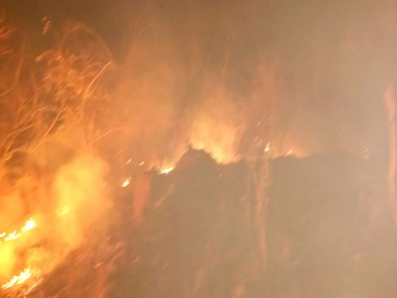 Fire in Patnadevi forests | पाटणादेवी जंगलात आग, ३० ते ३५ हेक्टर क्षेत्र जळून खाक