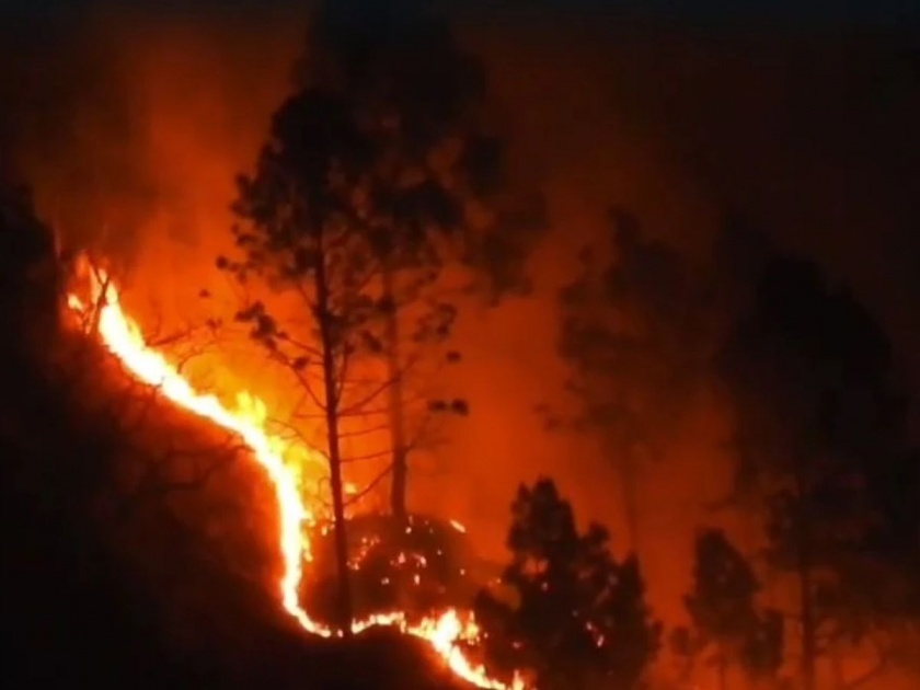 Fierce forest fires in Uttarakhand, fire reaches Nainital's High Court Colony, army called | उत्तराखंडमधील जंगलांमध्ये भीषण वणवा, नैनीतालच्या हायकोर्ट कॉलनीपर्यंत पोहोचली आग, लष्कराला पाचारण