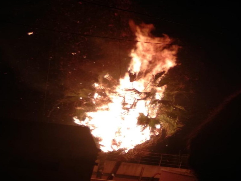 Destroy a coconut tree in a fire caused by a short circuit | Fire In Pimpari: शाॅर्ट सर्किटमुळे लागलेल्या आगीत नारळाचे झाड अन् इमारतीवरील साहित्य जळून खाक