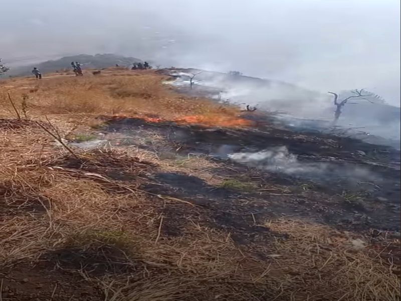 Fire erupts on Pandavaleni hill; The fire spread due to the speed of the wind | पांडवलेणी डोंगरावर आगीचा भडका; वाऱ्याचा वेग असल्याने पसरली आग