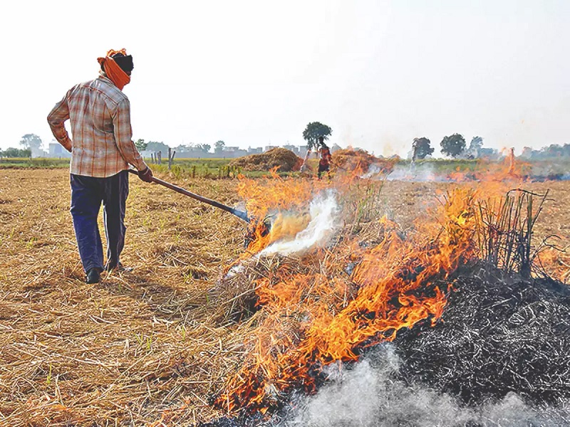 NASA photos show fires in Punjab-Haryana fields, increased risk of pollution in delhi-ncr | नासाच्या फोटोंमध्ये दिसली पंजाब-हरियाणाच्या शेतातली आग, प्रदुषणाचा धोका वाढला