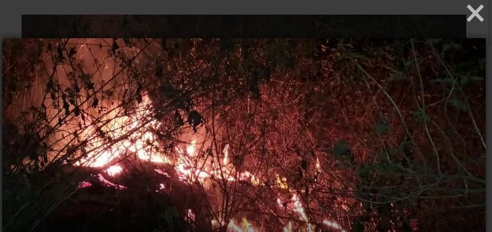 A fire broke out behind the Dev Lingeshwar temple at Shiroda Velagar | शिरोडा वेळागर येथील देव लिंगेश्वर मंदिरच्या मागे अचानक लागली आग