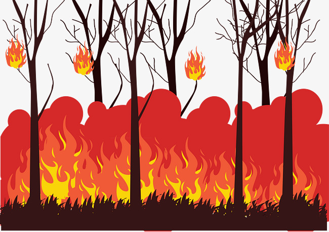 Thousands of plants burn to hide corruption in plantation! | कागदोपत्री लागवडीमुळेच पेटली वनीकरणाची हजारो झाडे!