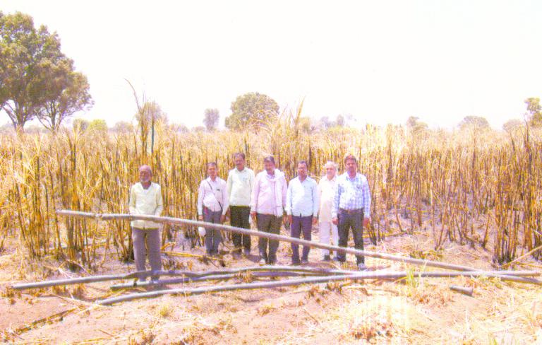 Fire to sugarcane farming; Three lakhs of damage | उसाच्या शेतीला आग लागून तीन लाखांचे नुकसान