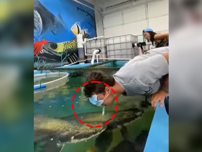 man was feeding fish with mouth fish attacks man video goes viral | माशाला तोंडाने अन्न भरवण्याचा प्रताप पडला महागात, माशाने तोंडावरच केला भयानक हल्ला