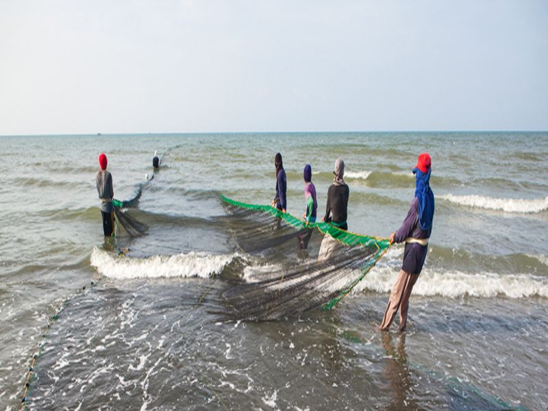 'Climate change adversely affects fishing' | 'हवामान बदलामुळे मासेमारीवर विपरीत परिणाम'