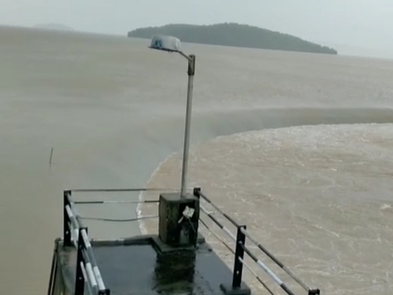 Flood conditions in Gondia, 40 roads closed; The main dam's gates opened, trapping many workers | गोंदियात पूर परिस्थिती, जवळपास ४० मार्ग बंद; प्रमुख धरणाचे दरवाजे उघडले, अनेक कर्माचारी अडकले