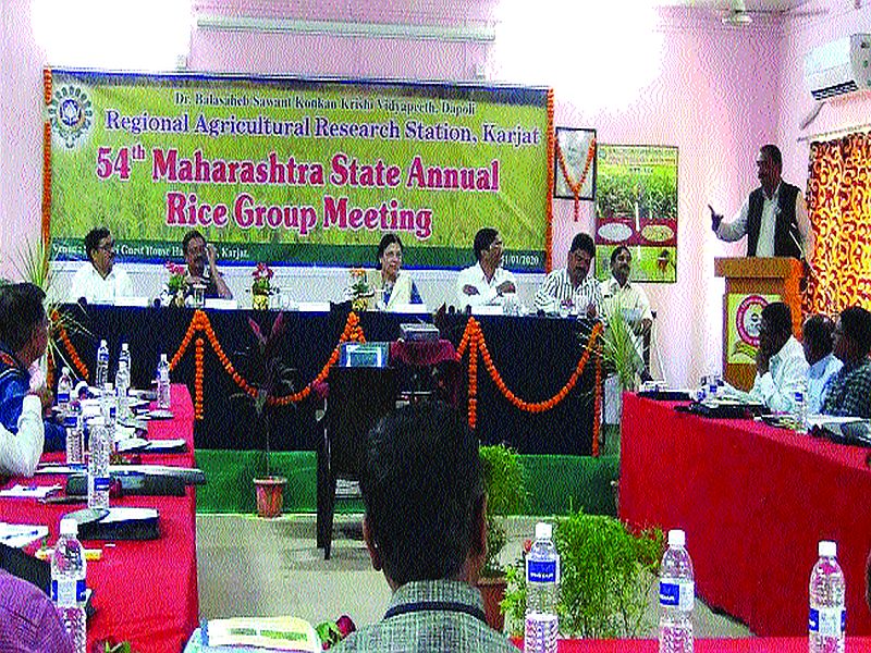 Efforts for genetic planning of paddy crop - Dr. Sanjay Sawant | भातपिकाच्या जनुकीय आराखड्यासाठी प्रयत्न- डॉ. संजय सावंत