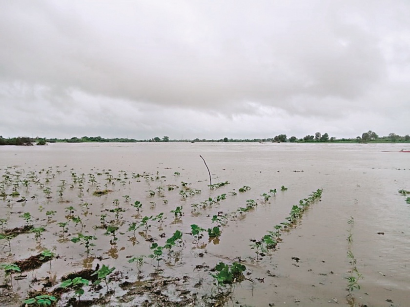 Agriculture in Kolhapur region hit Rs 3,500 crore | कोल्हापूर विभागातील शेतीला साडेतीन हजार कोटींचा फटका