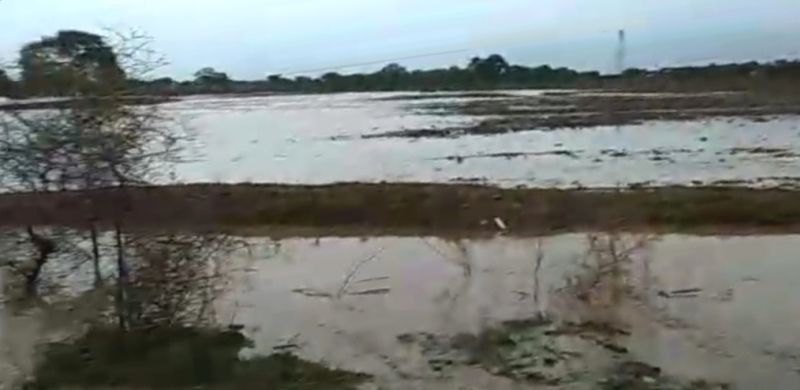 Flood flushout land; damage to the crop | नाल्याच्या पुराने शेती गेली खरडून; पिकाचे मोठे नुकसान