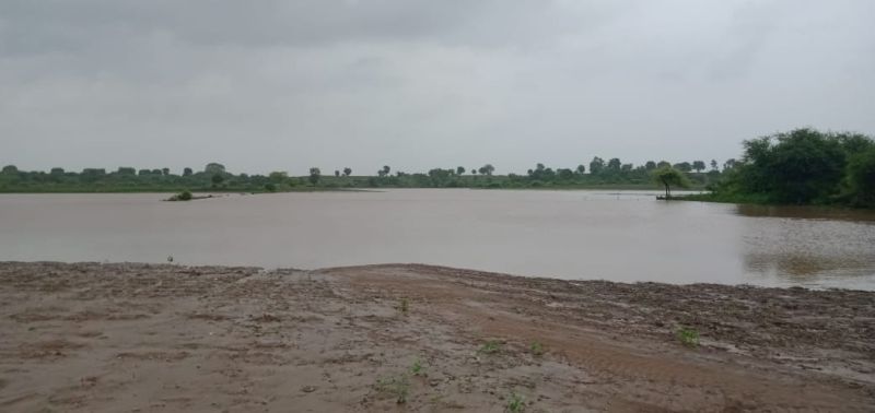 Flooding of Katepurna river; Hundreds of acres of farmland under water | काटेपूर्णा नदीला पूर; शेकडो एकर शेतजमीन पाण्याखाली