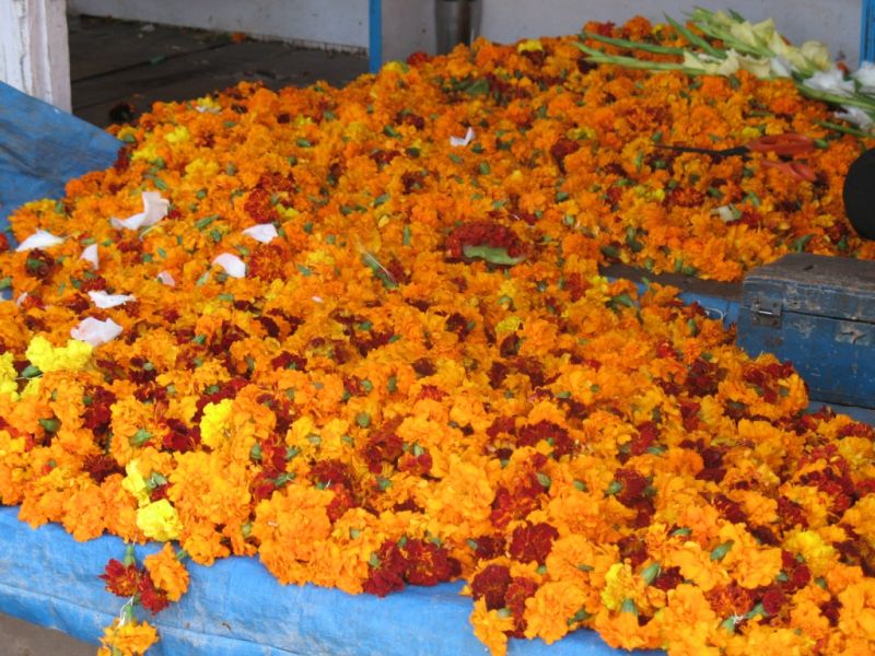 The flowers brought by the farmers were wasted in Nagpur | उपराजधानीत शेतकऱ्यांनी आणलेली फुले झाली कचरामोल