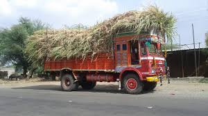 Despite the ban, the fodder transported out of Buldhana district | बंदी असतानाही बुलडाणा जिल्ह्यातील चारा परजिल्ह्यात