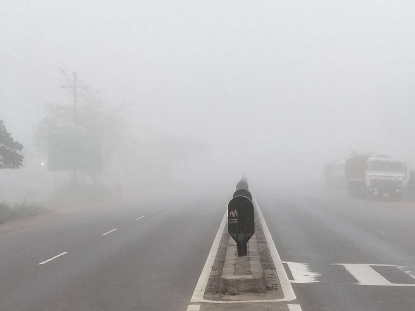 Dark Fog in Lonavla area | लोणावळा परिसरात धुक्याची दाट चादर   