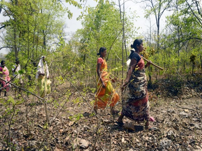 Holi festival: 'Alert' in tribal areas | होळीचा सण : आदिवासी भागातील वनक्षेत्रात ‘अ‍ॅलर्ट’
