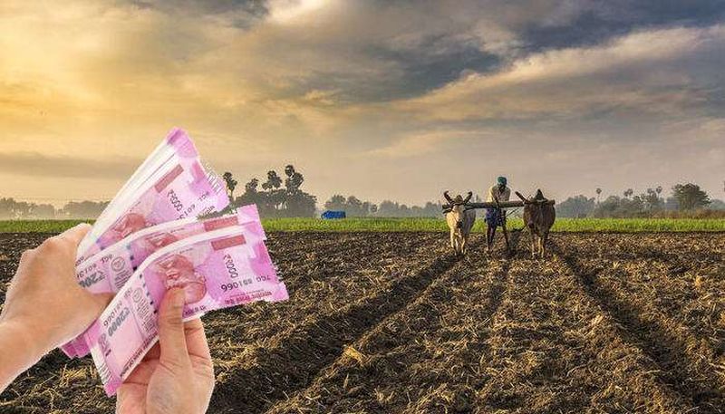 1.58 crore amount deposited in 207 farmers' accounts! | २०७ शेतकऱ्यांच्या खात्यात १.५८ कोटींची रक्कम जमा!