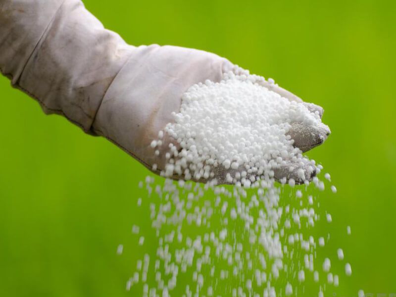 Licenses of 18 chemical fertilizer sellers in Akola district canceled! | अकोला जिल्ह्यातील १८ रासायनिक खत विक्रेत्यांचे परवाने रद्द!