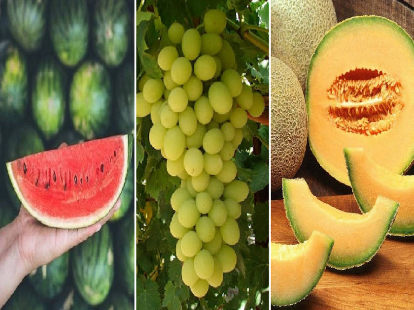 Summer extended, fruits cheap; But what should be eaten for health? | उन्हाळा वाढला, फळे स्वस्त; पण आरोग्यासाठी काय खायला हवे ?