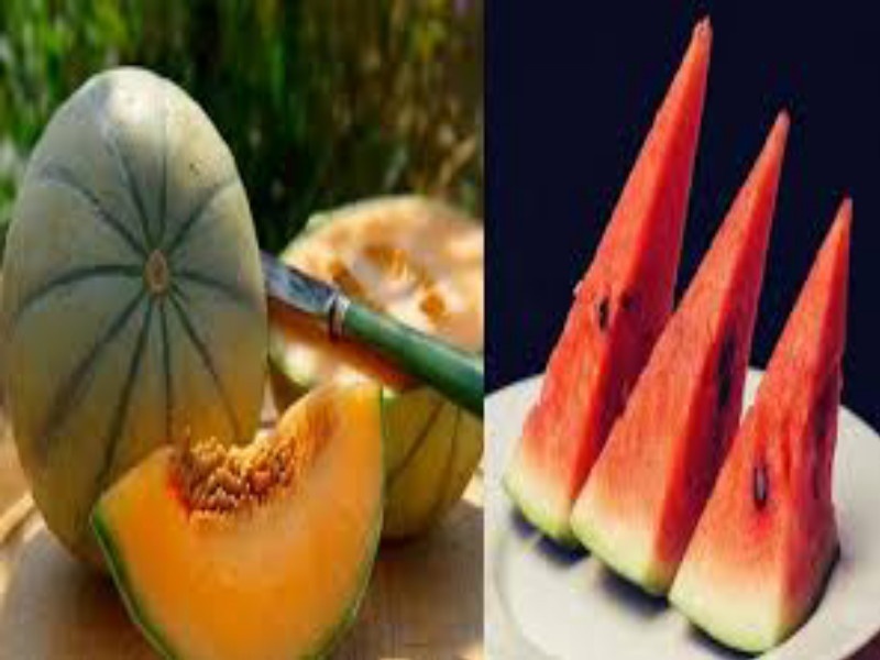 water melon rate increased and orange prices went down | कलिंगड, खरबूजचे दर वाढले; पपई, संत्रीचे दर उतरले