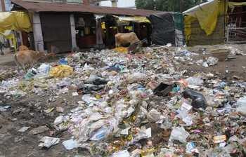 Dirt empire in flower market in Nagpur, health crisis of vendors and growers | नागपुरातील फूल मार्केटमध्ये घाणीचे साम्राज्य, विक्रेते व उत्पादकांचे आरोग्य संकटात