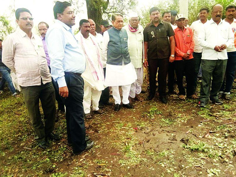 Khamgaon: Horticulture affected area is examined by the Agriculture Ministers! | खामगाव : गारपीटग्रस्त भागाची कृषी मंत्र्यांकडून पाहणी!