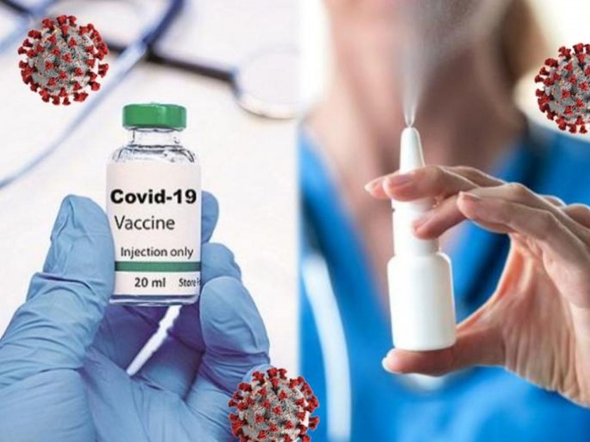 CoronaVirus : Anti corona nasal spray to kill virus in few hours and prevent infection | आता नेझल स्प्रे ने कोरोनापासून होईल बचाव; ४८ तासात व्हायरस होणार नष्ट, तज्ज्ञांचा दावा