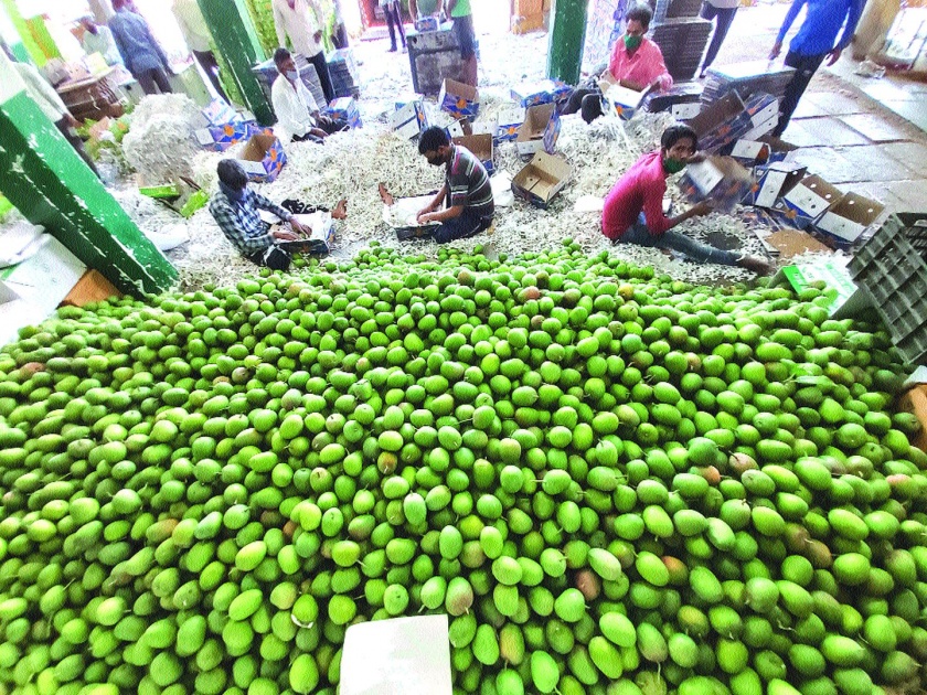 Arrival of 5 lakh boxes of mangoes decreased | आंब्याच्या ५ लाख पेट्यांची आवक घटली