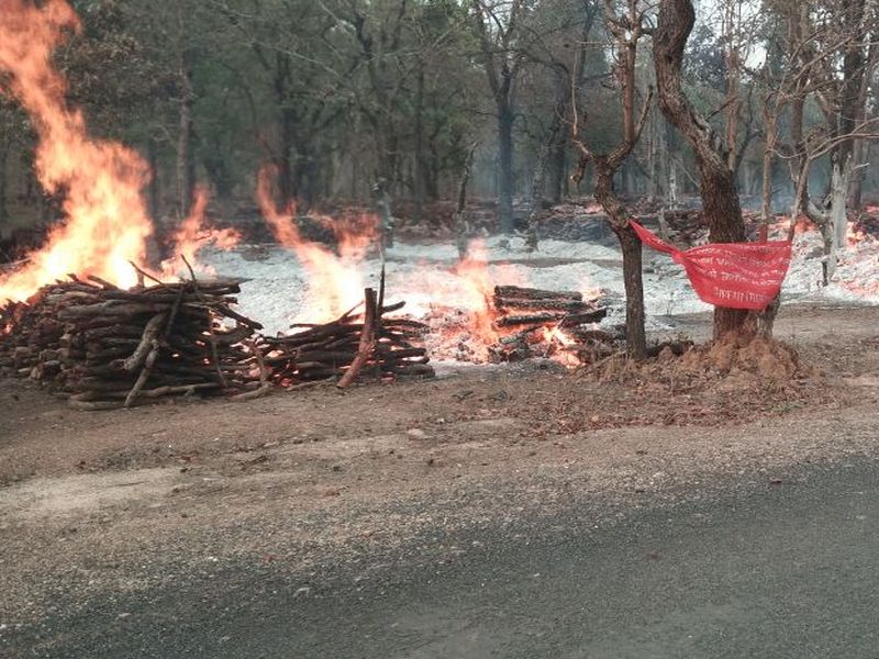 Wood depot burnt in the fires of Naxalites | नक्षलवाद्यांनी लावलेल्या आगीत लाकूड डेपो जळून खाक