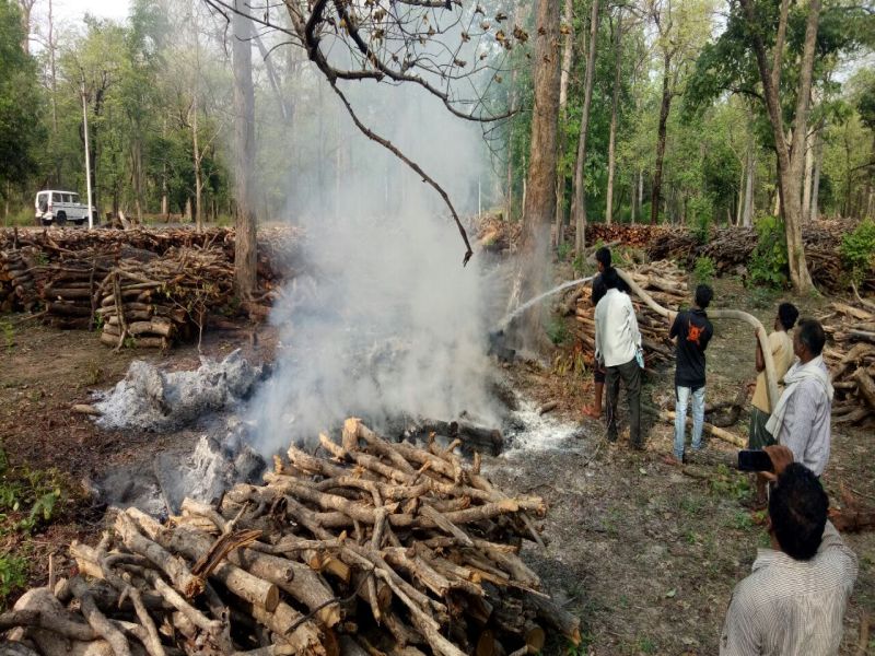 In Gadchiroli, the Naxalites were burnt again in Dhumalakul, Talwada, Wood Depot | गडचिरोलीत नक्षलींचा पुन्हा धुमाकूळ, तलवाडा येथील लाकूड डेपो जाळला