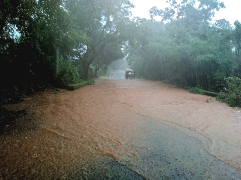 Strong recourse of rain in Sindhudurg district | सिंधुदुर्ग जिल्ह्यात पावसाचे जोरदार पुनरागमन