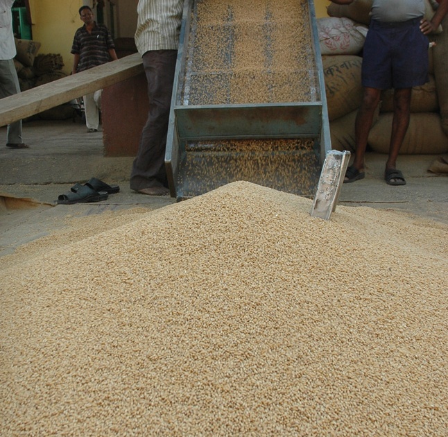 Goudbangal of the grain | धान्याचे गौडबंगाल