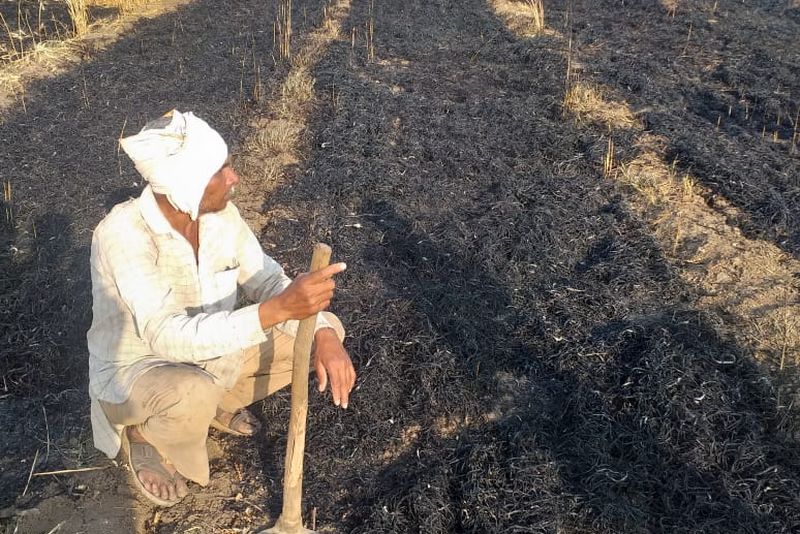 Four acres of wheat crop on fire in Raikhed | रायखेड येथील शेतकऱ्याच्या चार एकर गहू पिकाला आग