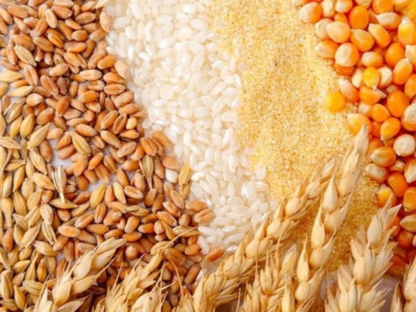 Wheat and rice producers are also affected; 28,655 crore loss due to export ban; A matter of concern for the country | गहू, तांदूळ उत्पादकांनाही बसताेय फटका; निर्यातबंदीमुळे २८,६५५ कोटींचे नुकसान; देशासाठी चिंताजनक बाब