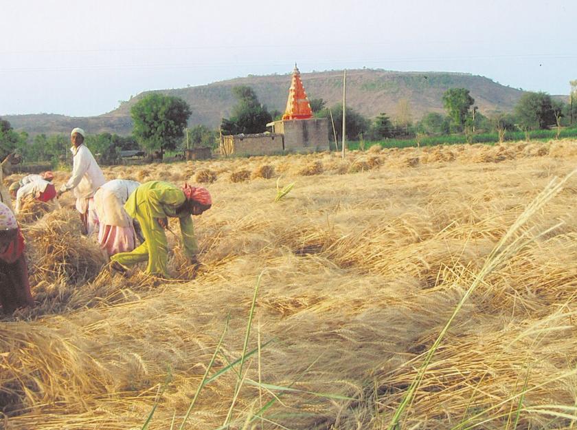 Marathwada leads the crop insurance | पीक विम्यात मराठवाडा आघाडीवर