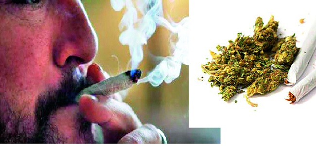  Crime 'addiction' to marijuana | गांजाच्या झुरक्यात गुन्हेगारीची ‘नशा’-निर्जन कोपरे बनत आहेत टोळक्यांचे अड्डे