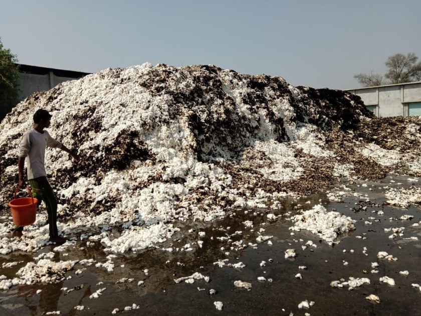 millions of rupees cotton burn in gangakhed | जिनिंगमध्ये लागलेल्या आगीत लाखों रुपयांचा कापुस जळून खाक