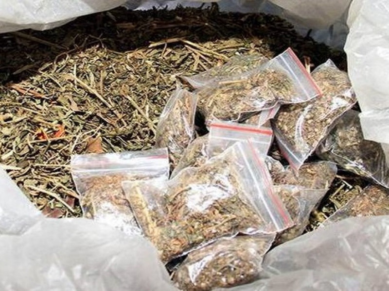 Attempts to sell cannabis foiled by police; Stocks worth Rs 5 lakh seized in Pimpri | गांजा विक्रीचा प्रयत्न पोलिसांनी उधळला; पिंपरीत पावणेदहा लाखांचा साठा जप्त