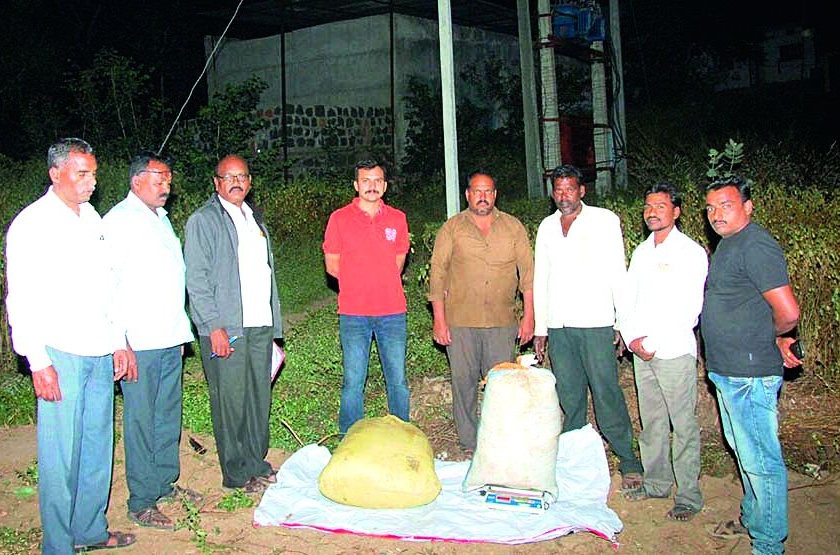 One lacquer ganja seized in Amadapur | अमडापुरात एक लाखाचा गांजा जप्त