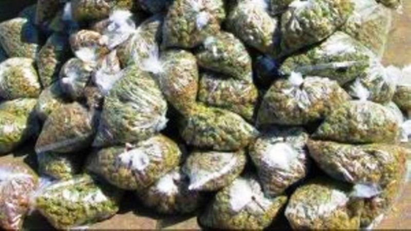 UP-MP arrested for smuggling cannabis: Rs 27 lakh seized | गांजा तस्करी करणारी यूपी-एमपीची टाेळी गजाआड : २७ लाखांचा ऐवज जप्त