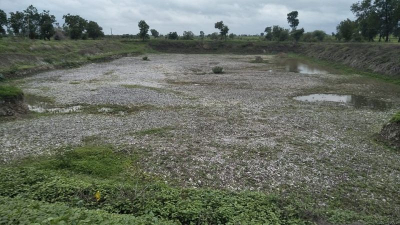 Water scarcity ; lake, well dry in Washim district | पाणीटंचाई कायमच; गावतलाव कोरडे: विहिरी, कूपनलिकांतही अल्पसाठा