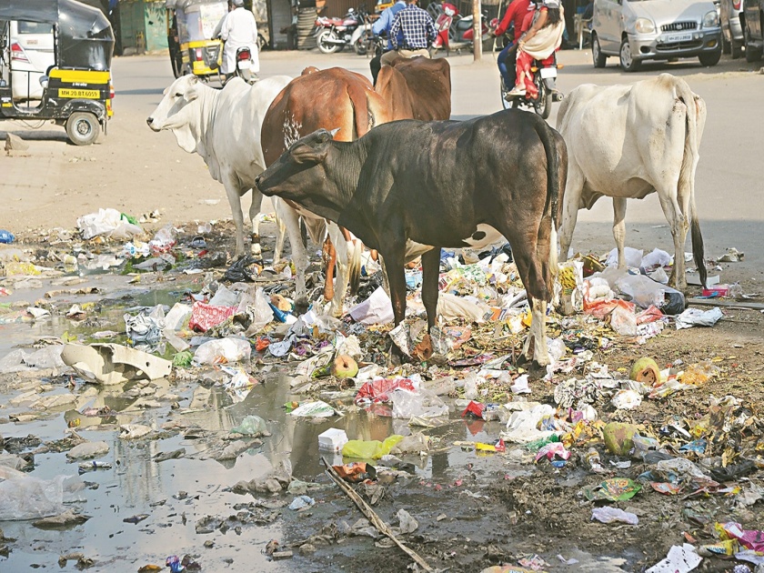 Garbage on the street will not be stopped, what to do now? Chhatrapati Sambhajinagar Municipality administration clueless! | रस्त्यावर येणारा कचरा बंद होईना, आता काय करावे? मनपा प्रशासनाचे डोकेच चालेना!