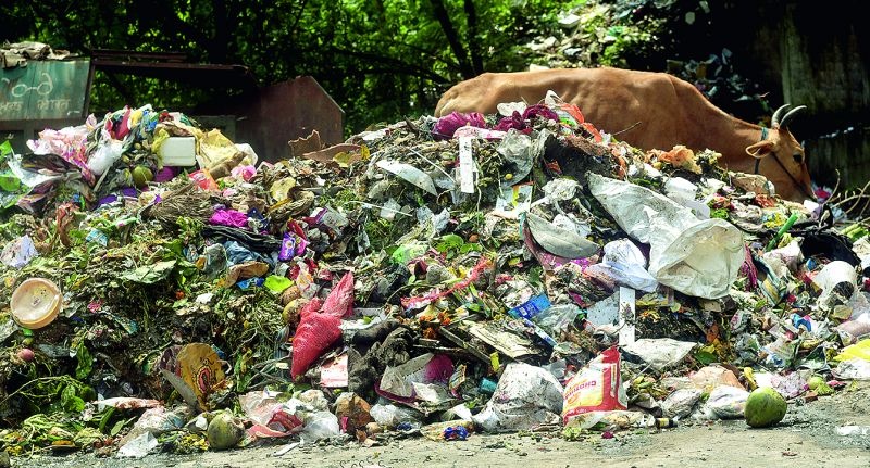 Trash disappears from Nagpur; Dirt scattered on the streets | नागपुरातून कचरागाड्या गायब; रस्त्यांवर पसरली घाण