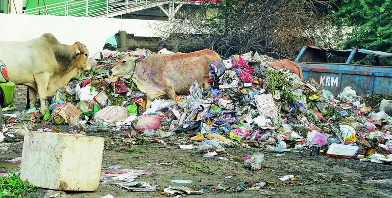 Garbage piles in Nagpur city; The system collapsed | नागपूर शहरात कचऱ्याचे ढिगारे; यंत्रणा कोलमडली