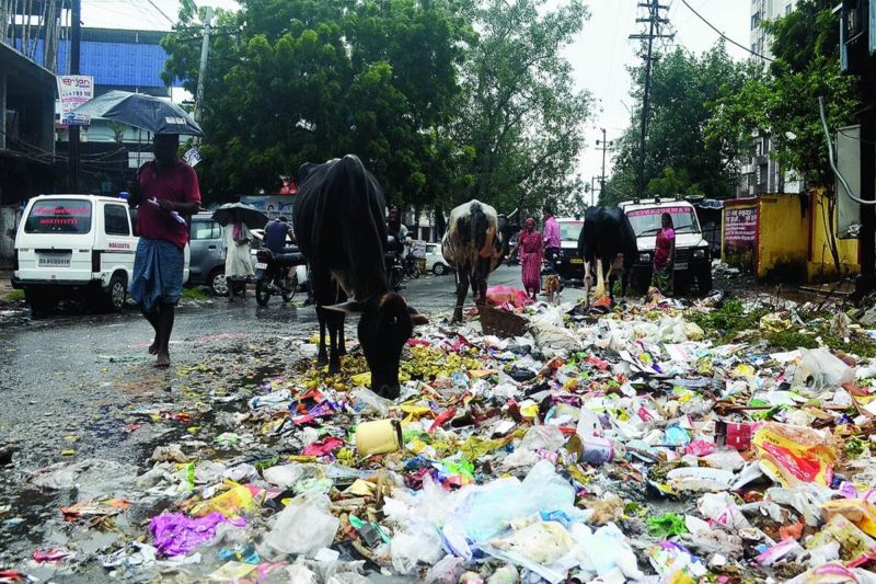 Garbage collection halted in half the city in Nagpur | नागपुरात अर्ध्या शहरातील कचरा संकलन ठप्प