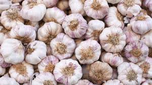 Cheap garlic cloves in Nagpur! Wholesale price 50 to 70 rupees | नागपुरात लसणाची फोडणी स्वस्त! ठोक भाव ५० ते ७० रुपये