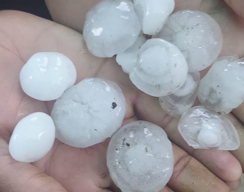  Hailstorm hits Akola district | अकोला जिल्ह्याला वादळासह गारपीटचा तडाखा