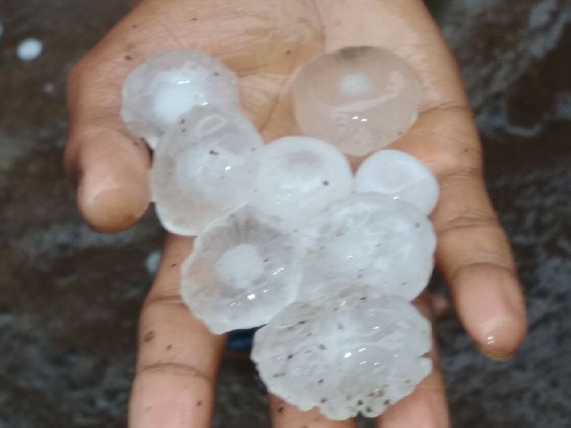 Due to hailstorm work, Bhola to 3 boards, with three board officials, show cause notice | गारपीट सर्व्हेच्या कामात दिरंगाई भोवली, तीन मंडळ अधिका-यांसह सहा तलाठ्यांना कारणेदाखवा नोटीस