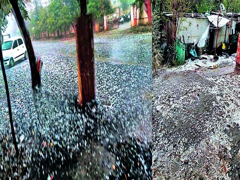 Crops on 9 lakh hectares of earthquake; Blowing hail again in Vidarbha, Marathwada | सव्वा लाख हेक्टरवरील पिके भुईसपाट; विदर्भ, मराठवाड्यात पुन्हा गारपिटीचा इशारा