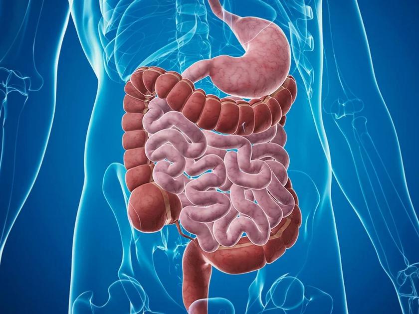 Gastroenteritis disease symptoms and its remedie in marathi | 'गॅस्ट्रो एन्टरायटिस'पासून सावध रहा; ही लक्षणं दिसली तर त्वरित उपचार करा